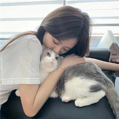 隐墙