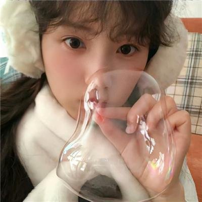 燕子与鹦鹉